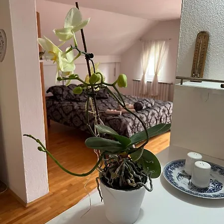 Apartment Queen Visoko